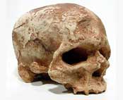 Ikon-Cro-magnon-mennesket-Rolf-Kenneth-Myhre